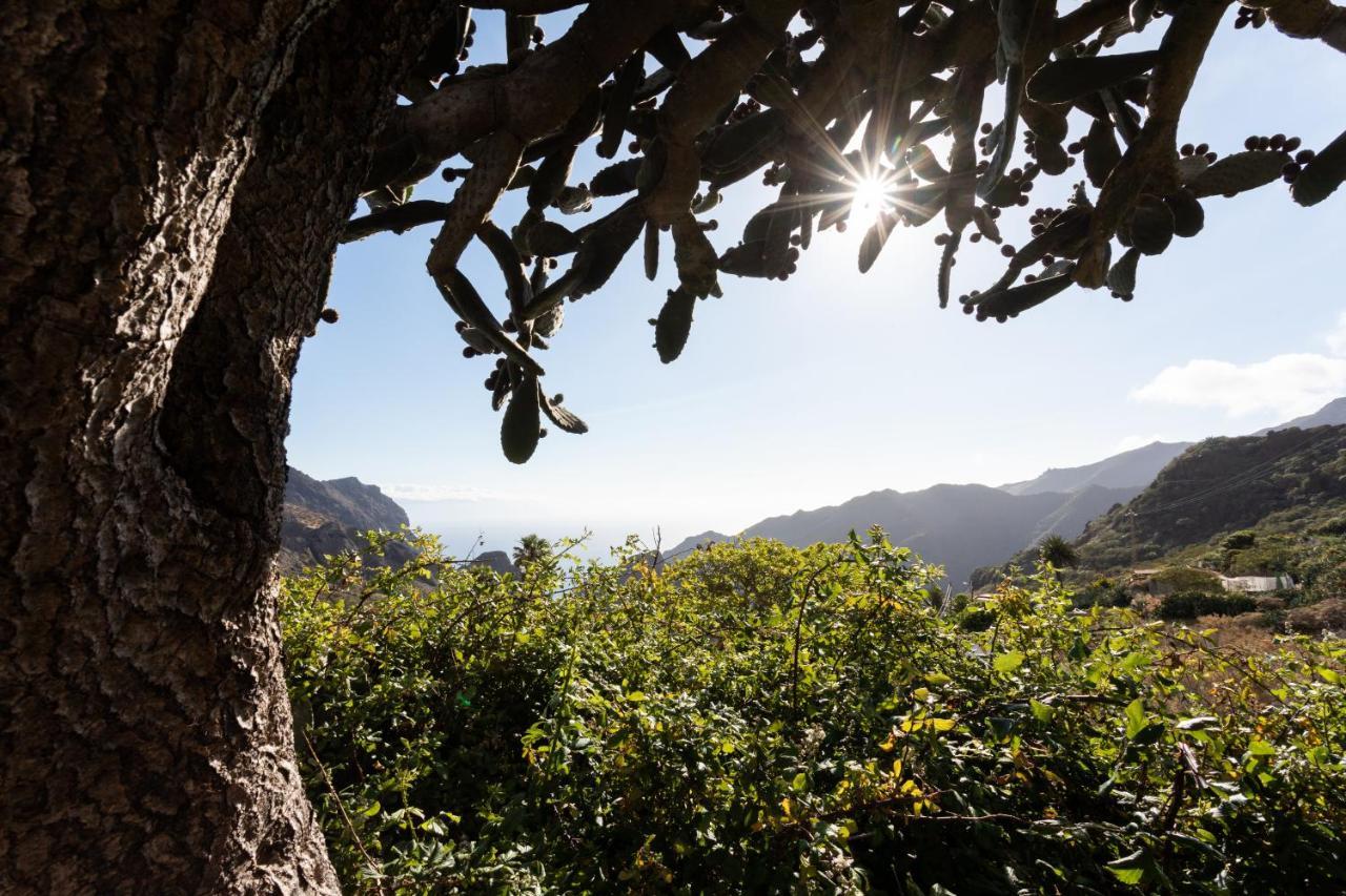 Home2Book Nature Carrizales And Masca House & Wifi Buenavista Del Norte Exterior photo